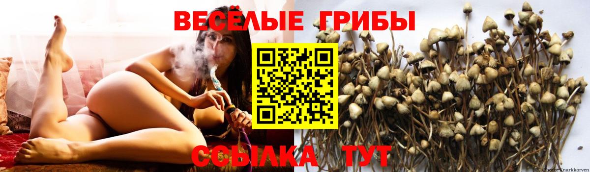 Псилоцибиновые грибы Cubensis  Вход с VPN  Псилоцибиновые грибы мухоморы  Россошь 